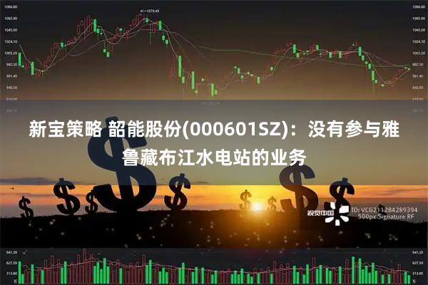 新宝策略 韶能股份(000601SZ)：没有参与雅鲁藏布江水电站的业务