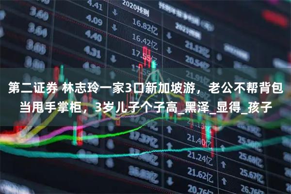 第二证券 林志玲一家3口新加坡游，老公不帮背包当甩手掌柜，3岁儿子个子高_黑泽_显得_孩子