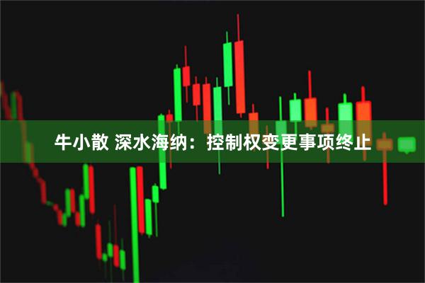 牛小散 深水海纳:控制权变更事项终止