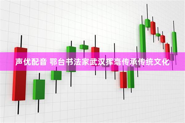 声优配音 鄂台书法家武汉挥毫传承传统文化