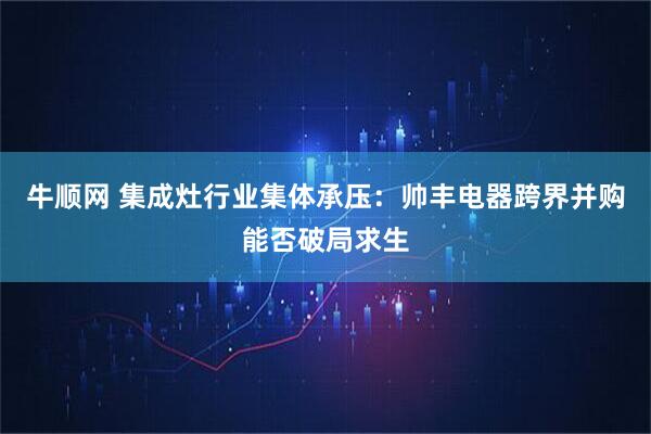 牛顺网 集成灶行业集体承压：帅丰电器跨界并购能否破局求生